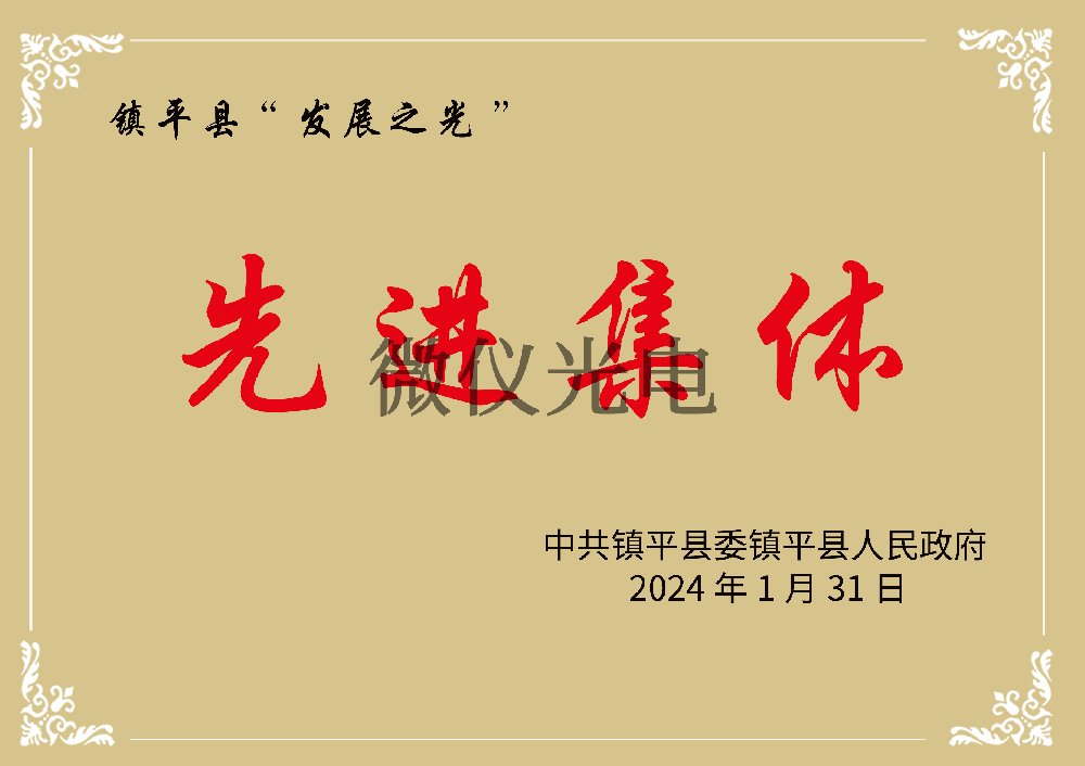 鎮(zhèn)平縣“發(fā)展之光”先進(jìn)集體